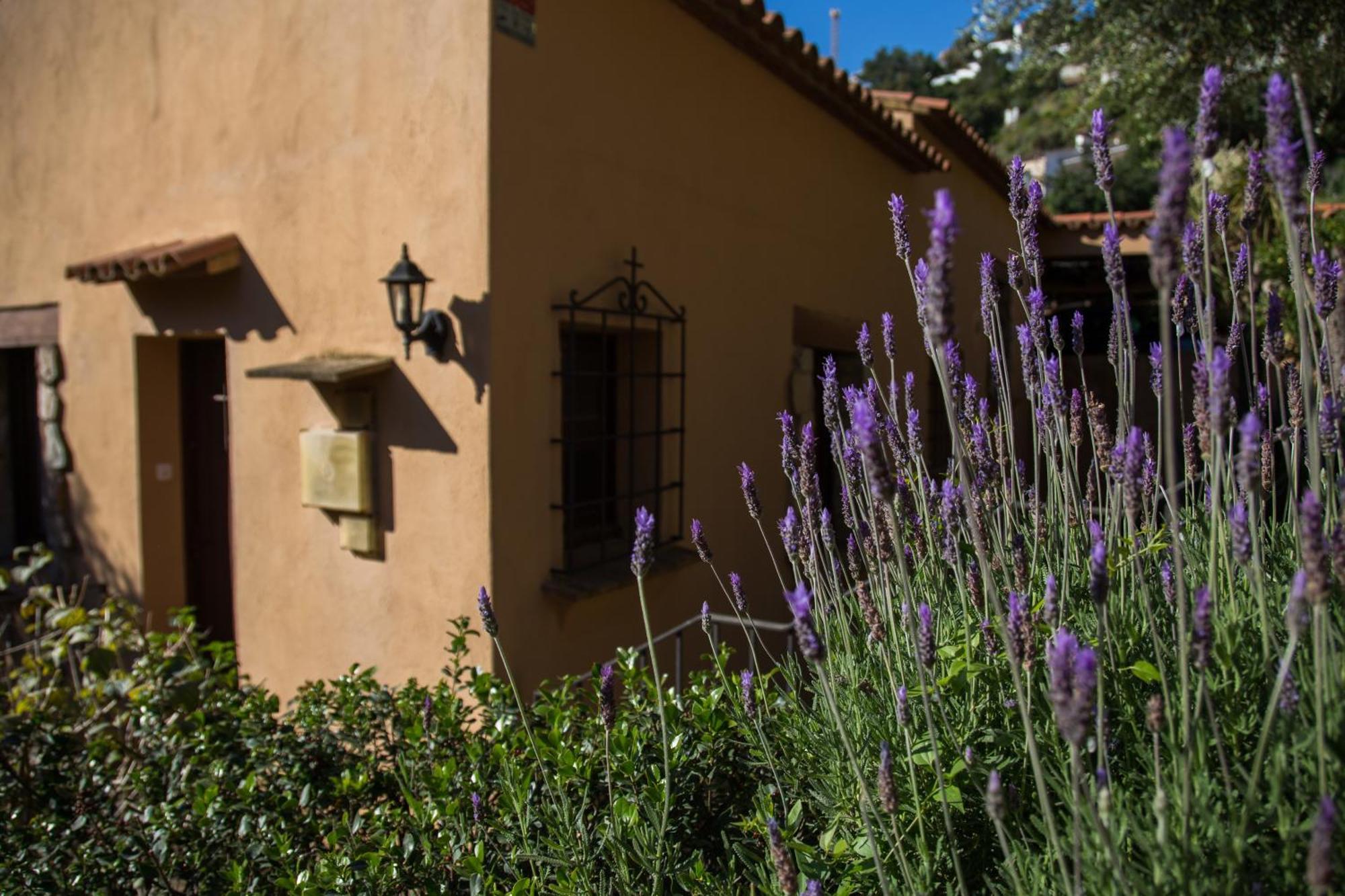 Corti Mori Sa Riera Vistas Mediterraneas Бегур Екстериор снимка